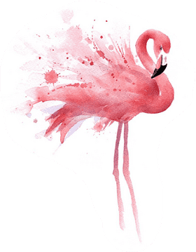 Whimsical Notebook Doodles of a Flamingo PNG