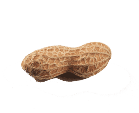 Peanut Butter Jar with Whole Peanuts Inside PNG