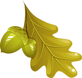 Golden Acorn and Leaf Embrace PNG