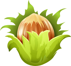 Delicious Hazelnut Delight Among Lush Green PNG