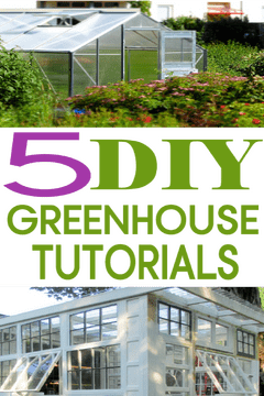 Charming Garden Gnome Retreat DIY Ideas PNG