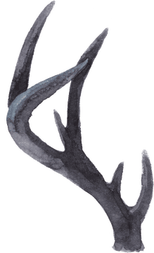 Mystical Antler Notebook Design PNG