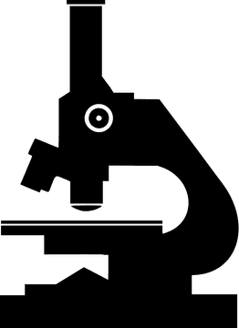 Intricate Details Revealed Through the Microscope PNG