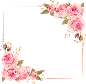 Elegant Iris Flower Blossom Frame PNG