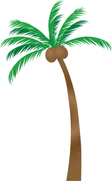 Tropical Paradise with Palm Trees and Sunshine PNG