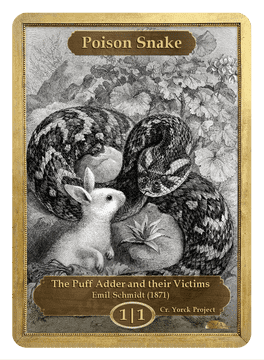 Poisonous Encounter The Puff Adder and its Prey PNG