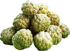 Delicious Green Fruit Pile of Cherimoya PNG