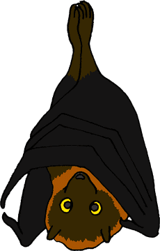 Whimsical Baseball Bat Bat PNG