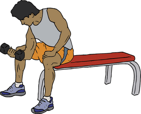 Gym Strength Training Building Muscle with Dumbbells PNG