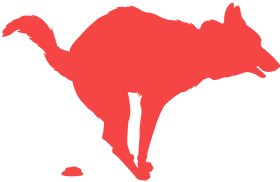 Playful Pup's Poop Time Adventure PNG