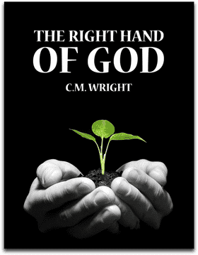 Whispers of Wisdom Bookstore PNG