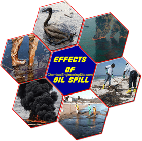 Impact and Consequences of Oil Spill on Ecosystems PNG