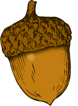 Golden Acorn of Nature's Bounty PNG