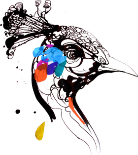 Colorful Harmony of the Peacock's Gaze PNG