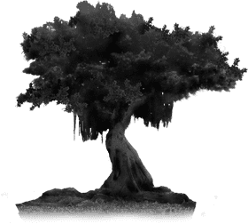 Ethereal Bonsai Tree of Serenity PNG