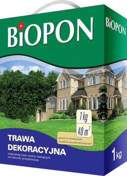 Premium Decorative Grass Seed Blend PNG