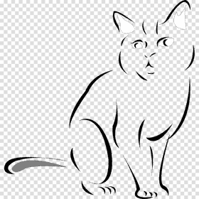 Elegant Whiskers The Curious Cat Companion PNG