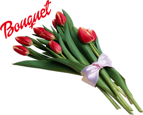 Elegant Flower Bouquet of Red Tulips PNG