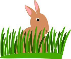 Curious Bunny Among the Lush Grass PNG