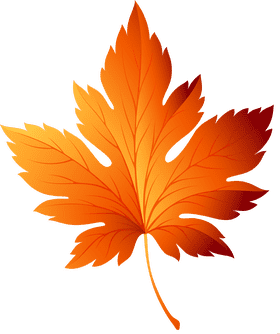 Autumn's Golden Leaf Elegance PNG