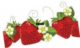 Delightful Strawberry Fruit Collection with Blossoms PNG