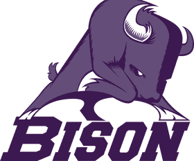 Sunset Reflections Bison in Twilight PNG