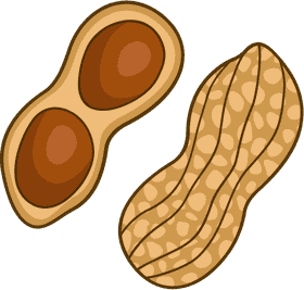 Natural Delight Peanut Butter Jar Essentials PNG