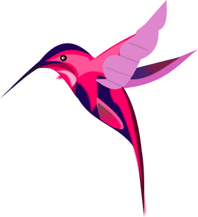 Vibrant Fantasy Bird in Flight PNG
