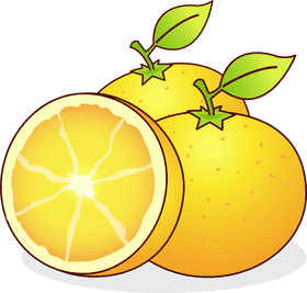 Fresh and Juicy Orange Peel Delight PNG