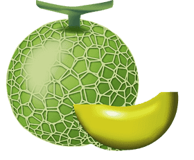 Delicious Melon Slice Delight PNG