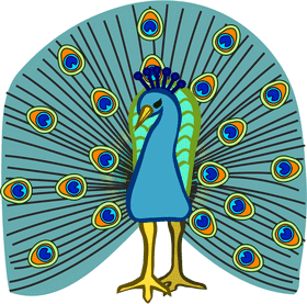 Majestic Peacock of Vibrant Feathers PNG