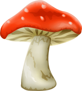 Vibrant Red Mushroom of Enchantment PNG