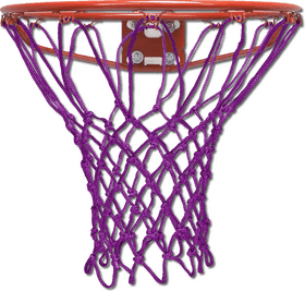Colorful Insect Net Basketball Hoop Design PNG