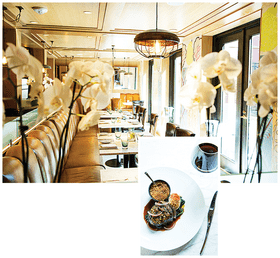 Elegant Dining Restaurant Experience PNG