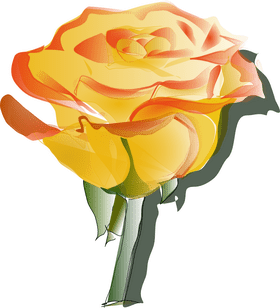 Golden Sunrise Flower PNG