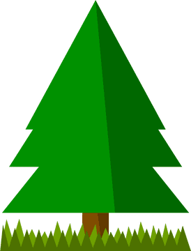 Lush Green Grass Beneath a Tall Evergreen PNG