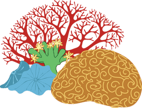 Vibrant Life of the Coral Reef PNG