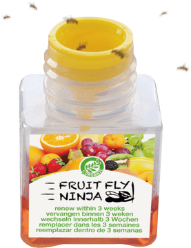 Fruit Fly Ninja The Ultimate Fruit Protector PNG