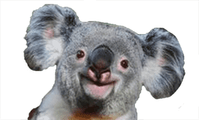 Happy Koala Bear Nature's Cuddly Delight PNG