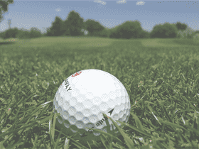 Golf Ball Resting on Lush Green Grass PNG