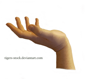 Gesturing Hand in Soft Light PNG
