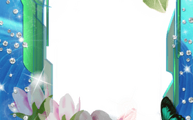 Elegant Floral Photo Frame with Sparkling Accents PNG