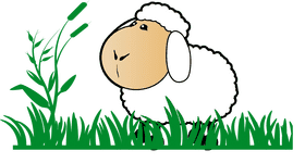 Curious Sheep in Lush Green Grass PNG