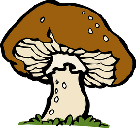 Whimsical Brown Mushroom in Lush Green Grass PNG