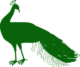 Elegant Peacock in Majestic Green Silhouette PNG