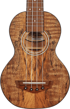 Elegant Handcrafted Ukulele with Stunning Grain PNG