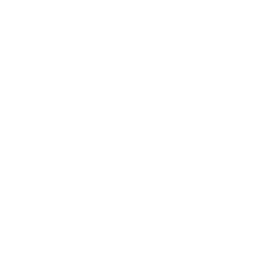 Casino Roulette Spin to Win Big! PNG