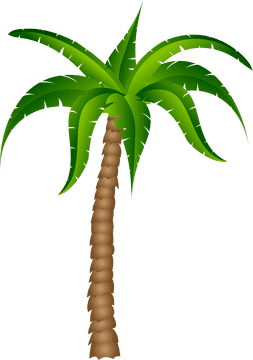 Elegant Palm Tree of Paradise PNG