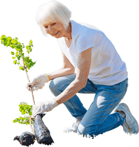 Thriving Vegetable Garden Cultivating Joy and Nourishment PNG
