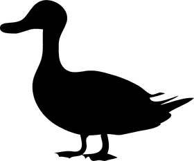 Charming Rubber Duck Companion PNG